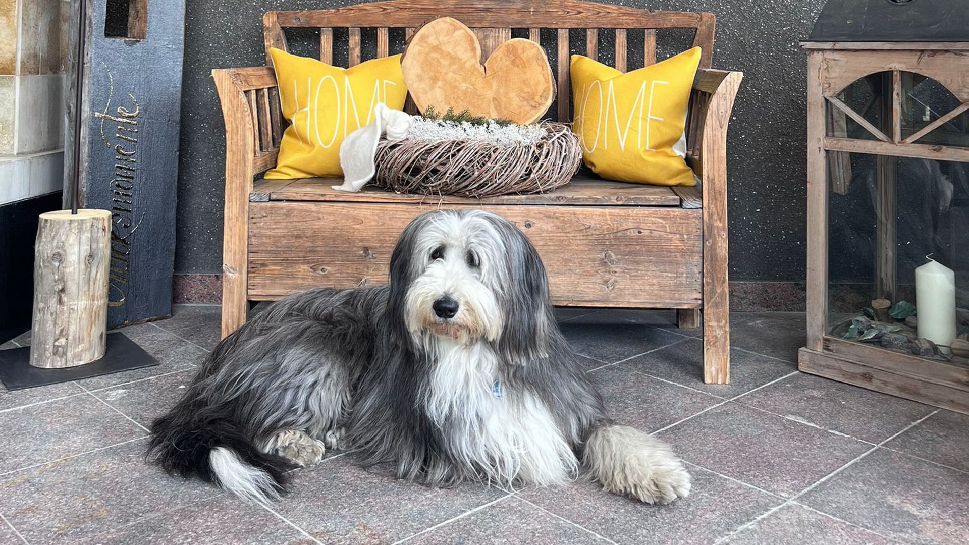 Das Cervosa als hundefreundliches Hotel in Tirol