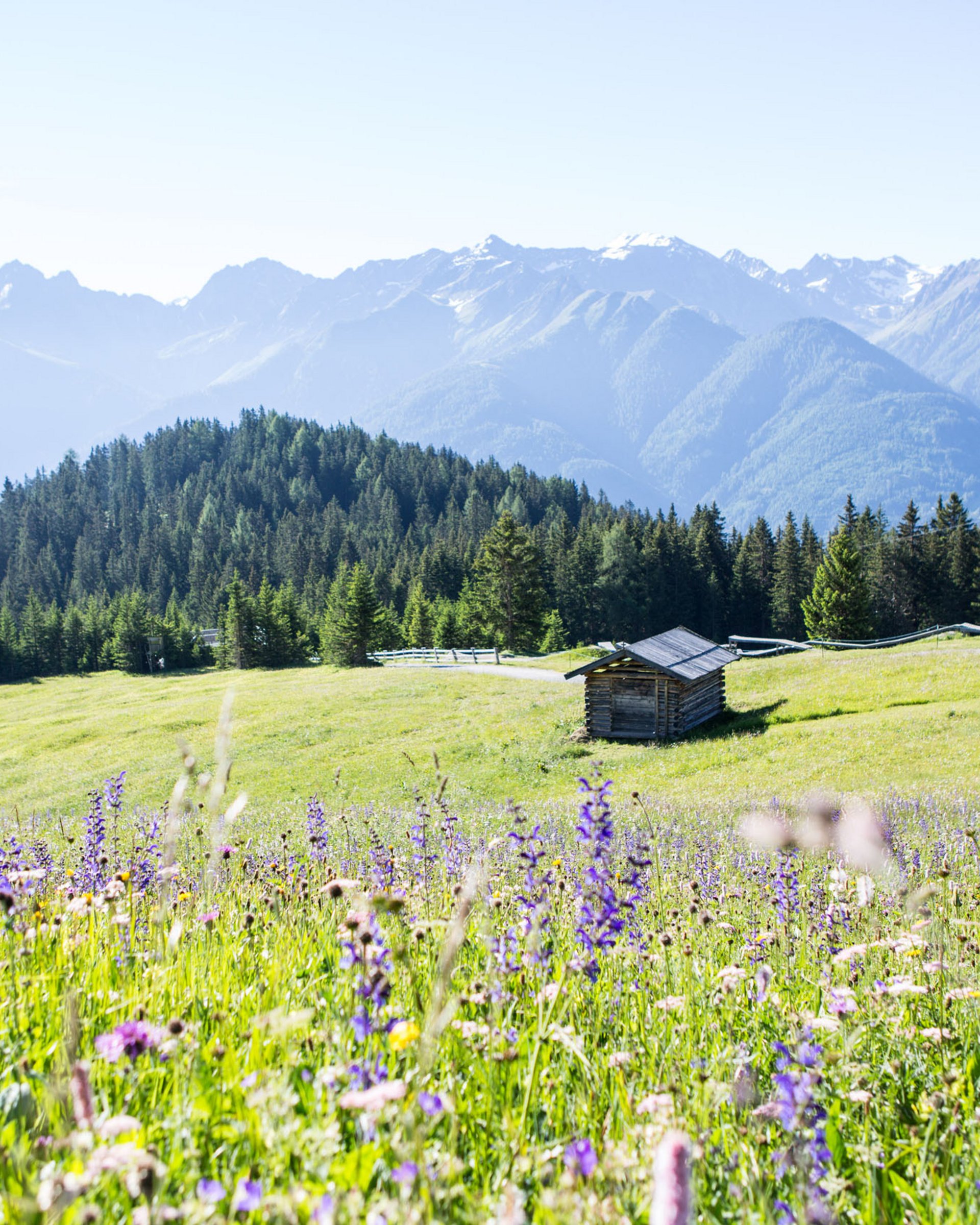 Your best friend in Serfaus: the Summer Card