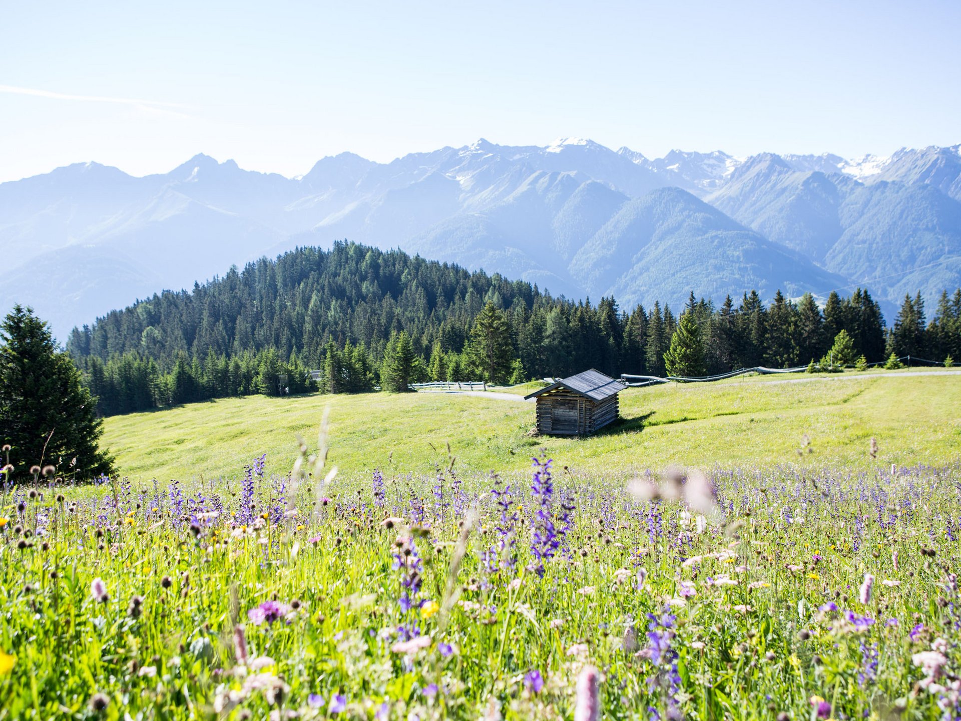 Bergglück im Wanderhotel in Serfaus